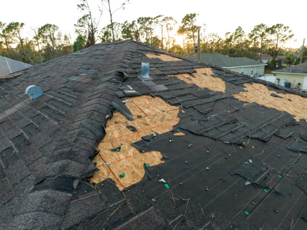 Best Metal Roofing Installation  in Treasure Island, FL