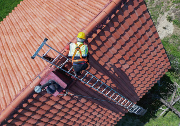 Best Roof Moss and Algae Removal  in Treasure Island, FL